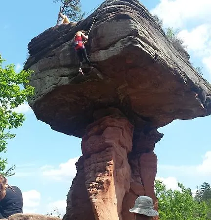 Wohnen Am Waldrand In Der Pfalz Lemberg