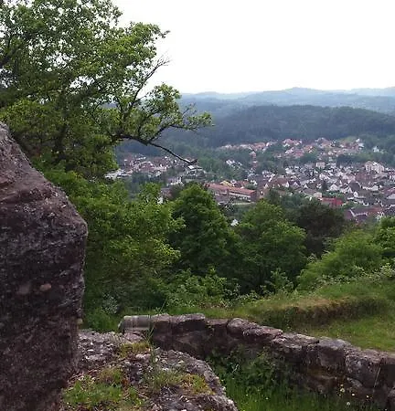 Wohnen Am Waldrand In Der Pfalz Lemberg